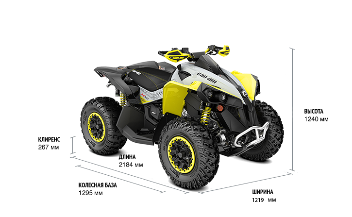 Can-Am Renegade 650 X XC (2019 м.г.)